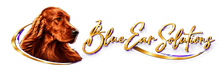 Blue Ear Solutions